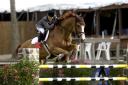 Margie Engle and Hidden Creek's Wapino, winners of the $15,000 National Horse Show Speed Classic at the 123rd National Horse Show and Family Festival, a Peter Llewellyn Photo